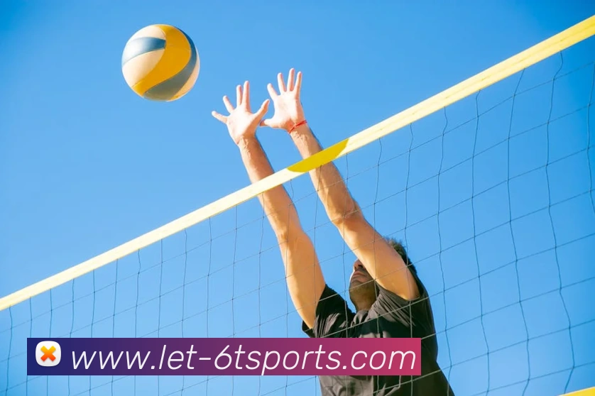 6T体育平台生态图